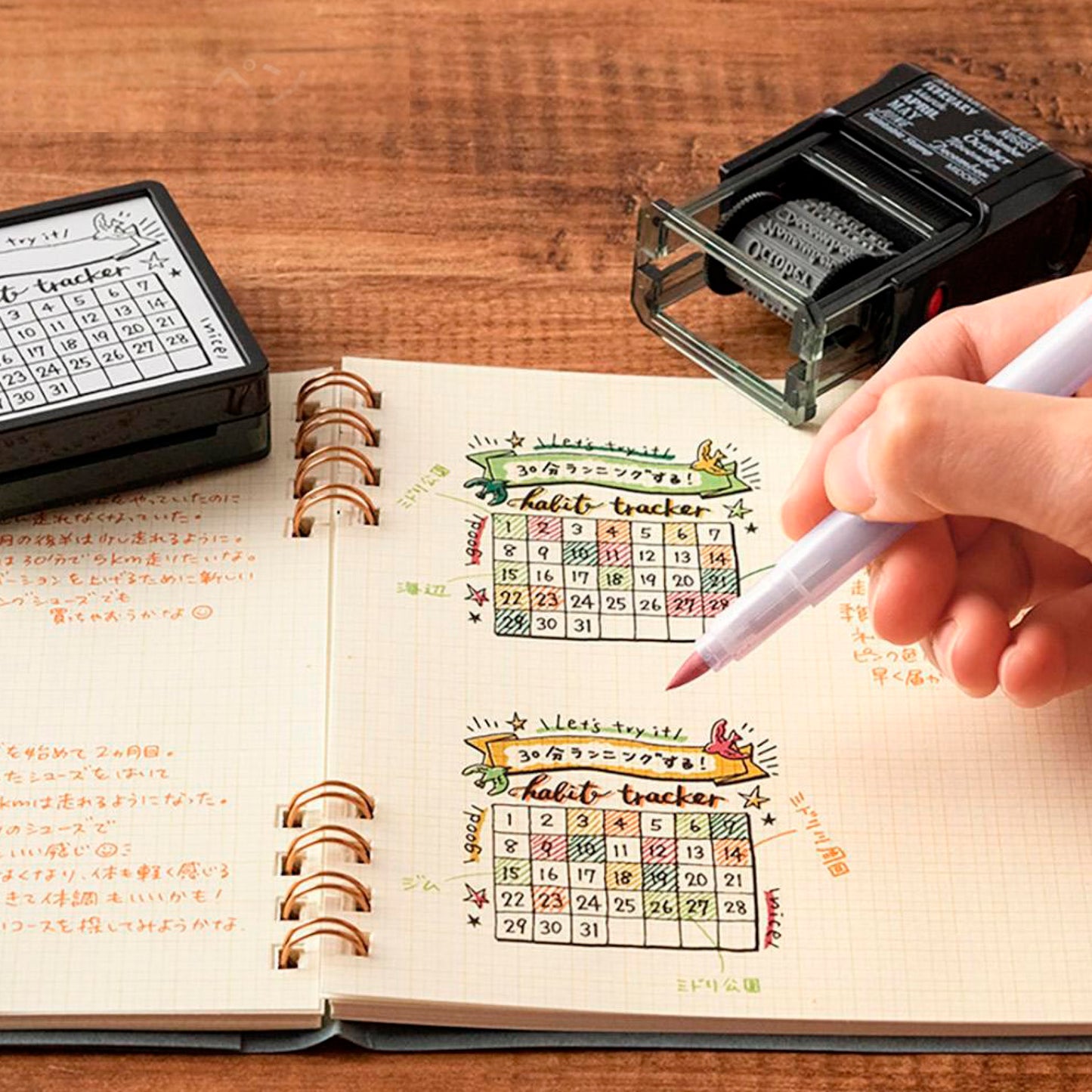 MIDORI dual pen brush - POSITIVENESS