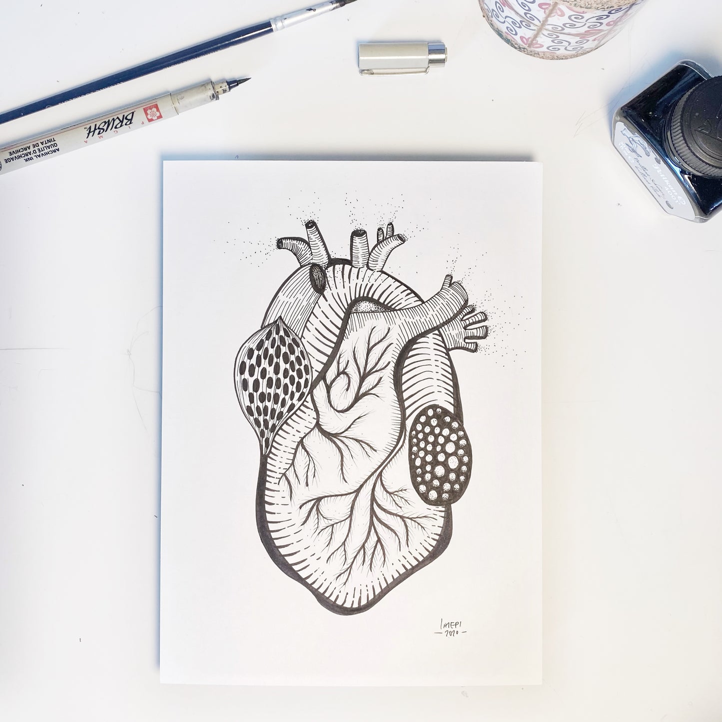 Illustrazione anatomica "Cuore" - A5