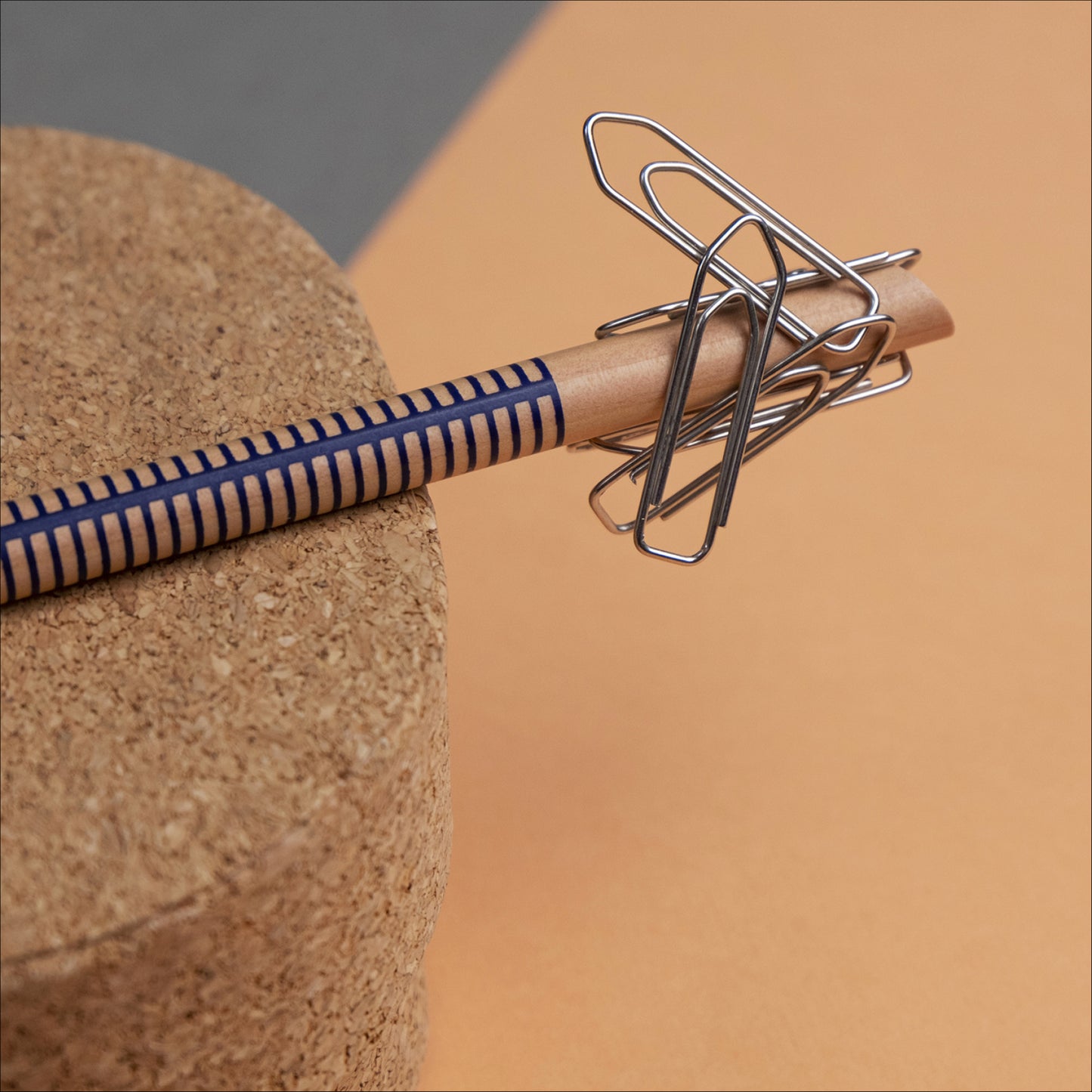 TOUT SIMPLEMENT - Matita Magnetica