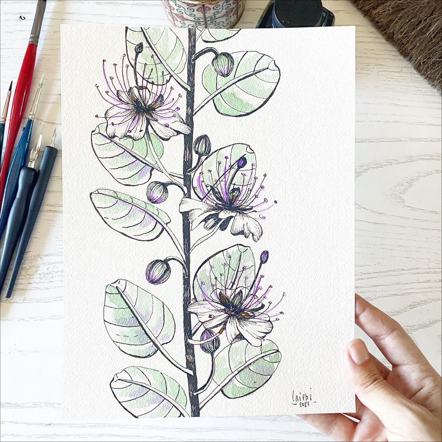 Original Artwork - "Capperi"