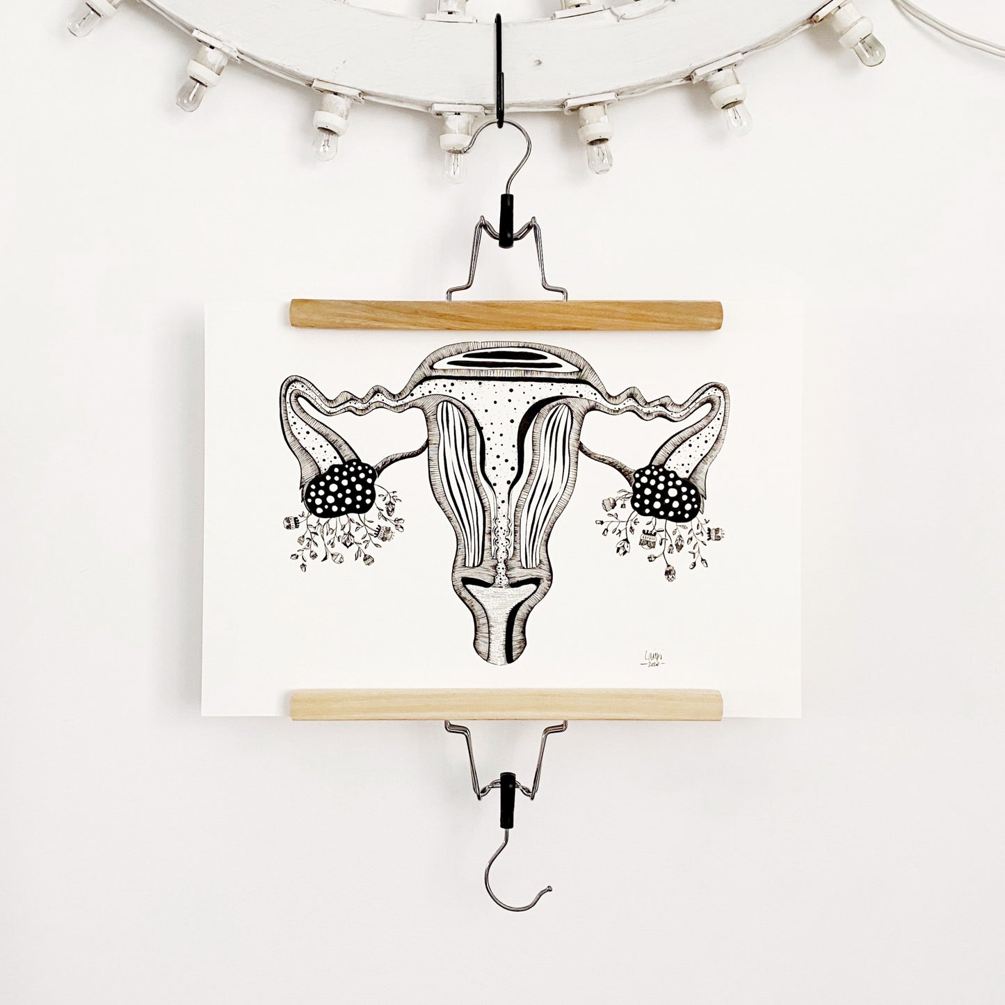 Illustrazione anatomica "Utero"
