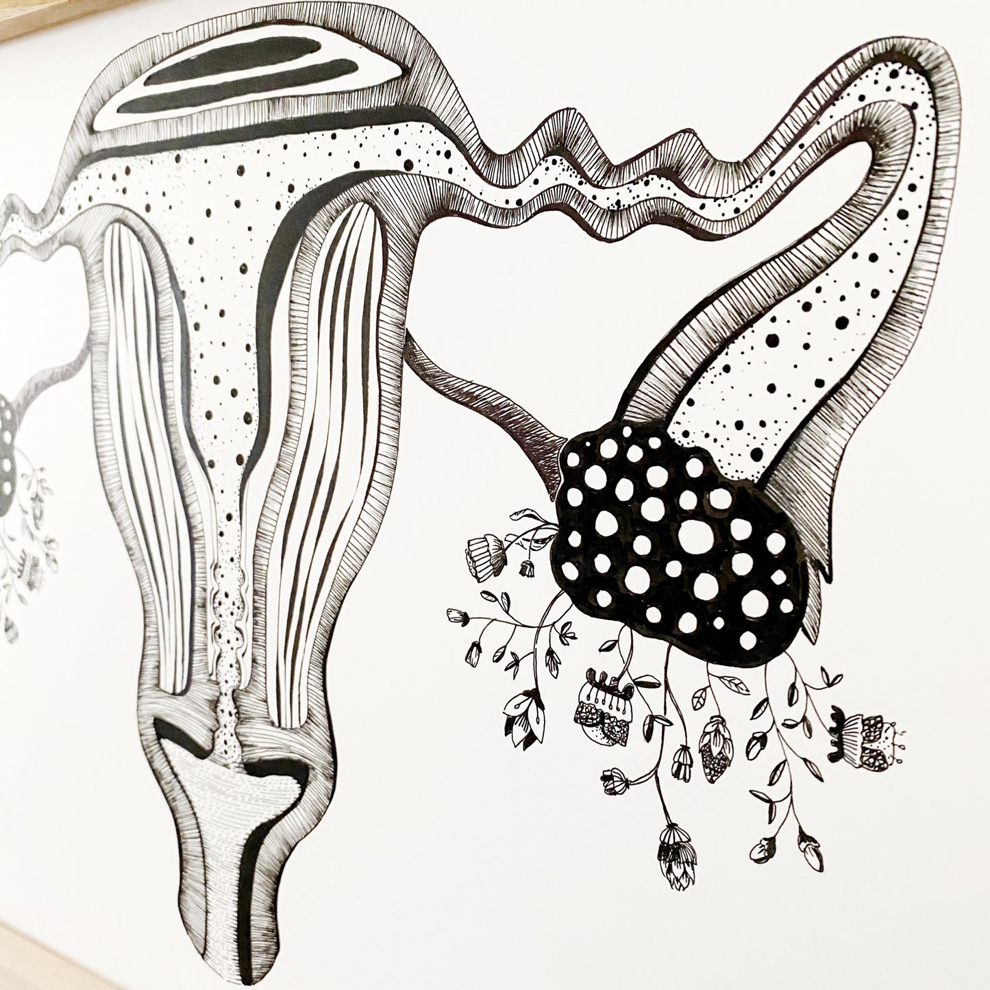 Illustrazione anatomica "Utero"