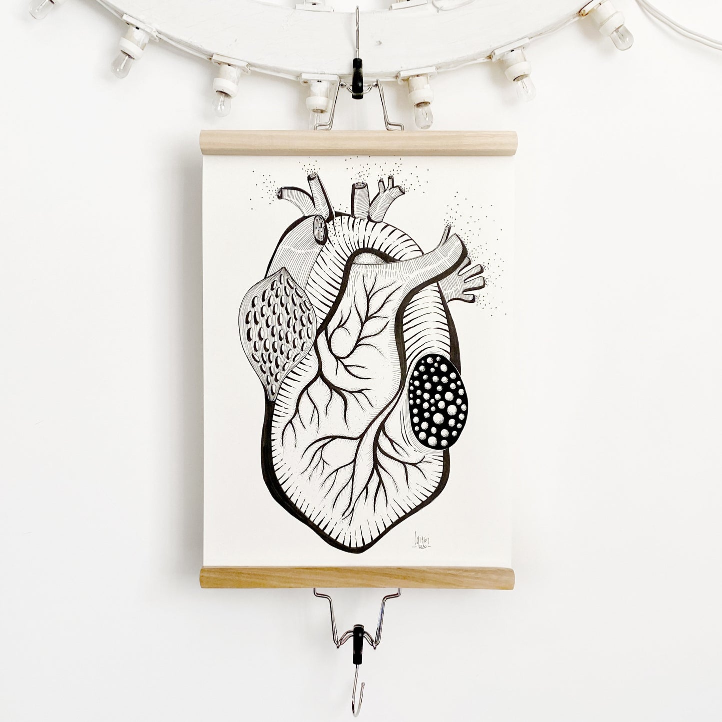 Illustrazione anatomica "Cuore"