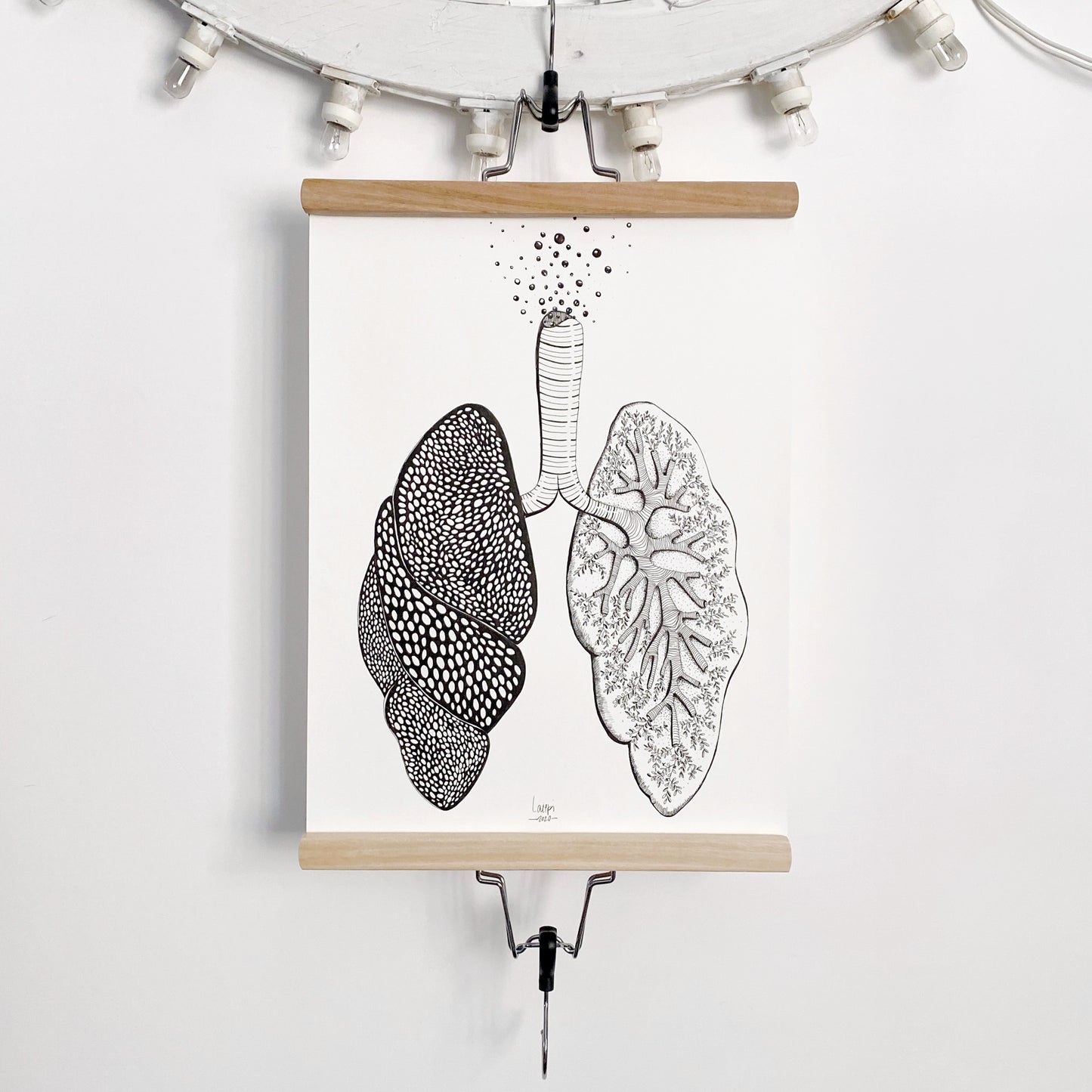Illustrazione anatomica "Polmoni"
