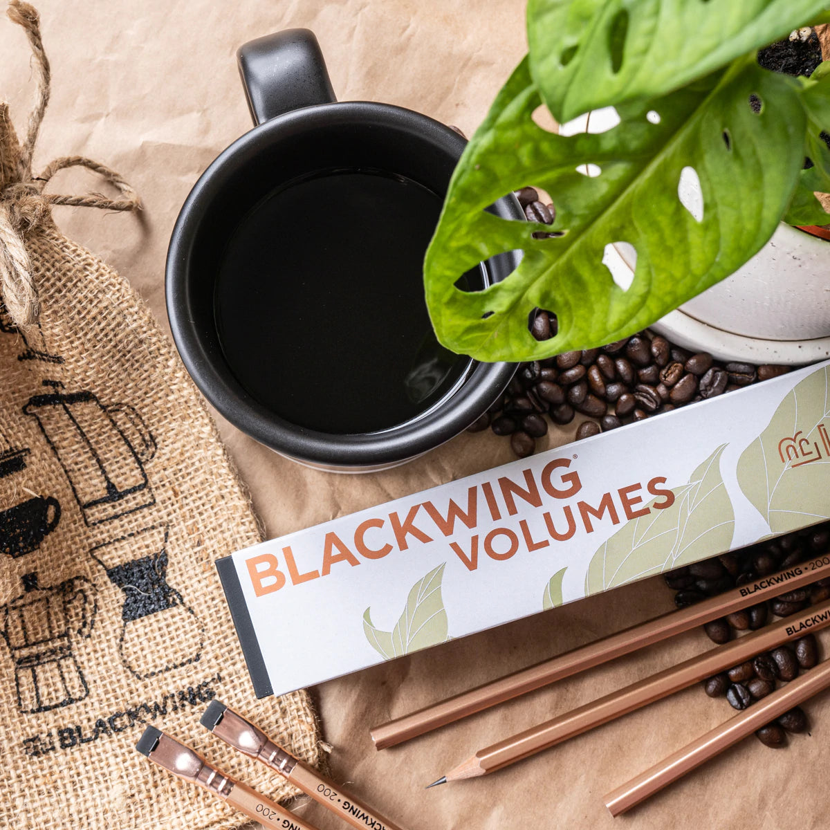 Limited Edition: Blackwing VOLUME 200- conf. 12 matite