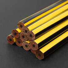 Carica l&#39;immagine nel visualizzatore di Gallery, Limited Edition: BLACKWING Palomino VOLUME 651 - conf. 12 matite