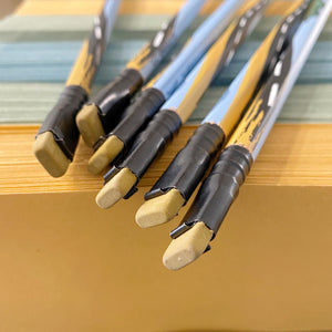 Limited Edition: Blackwing VOLUME 223 - conf. 12 matite