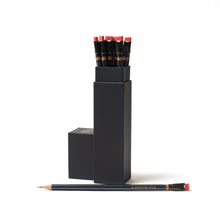 Carica l&#39;immagine nel visualizzatore di Gallery, Limited Edition: BLACKWING Palomino ERAS - conf. 12 matite