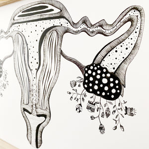 Illustrazione anatomica "Utero"