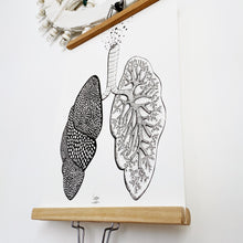 Carica l&#39;immagine nel visualizzatore di Gallery, Illustrazione anatomica &quot;Polmoni&quot;