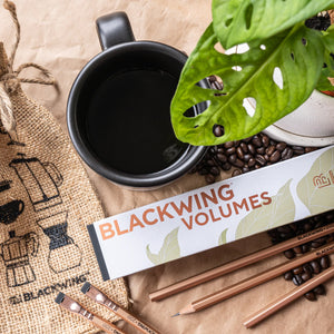 Limited Edition: Blackwing VOLUME 200- conf. 12 matite